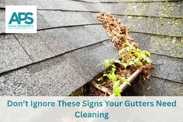 Gutter Cleaning