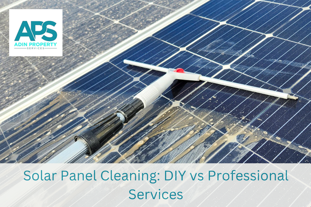 Solar Panel Cleaning