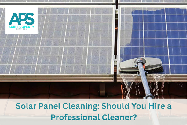 Solar Panel Cleaning