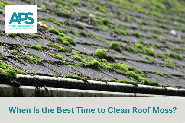 Roof Moss Cleaning