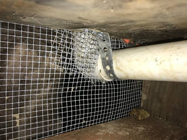 Rodent Proofing Services in Concord CA