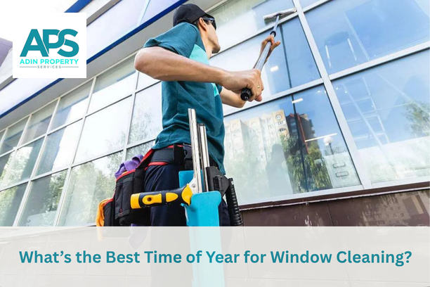 Window Cleaning