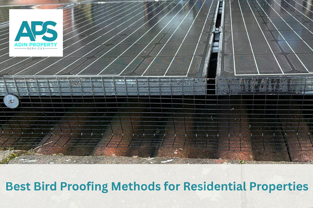 bird-proofing