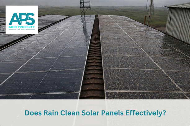 Solar Panel Cleaning