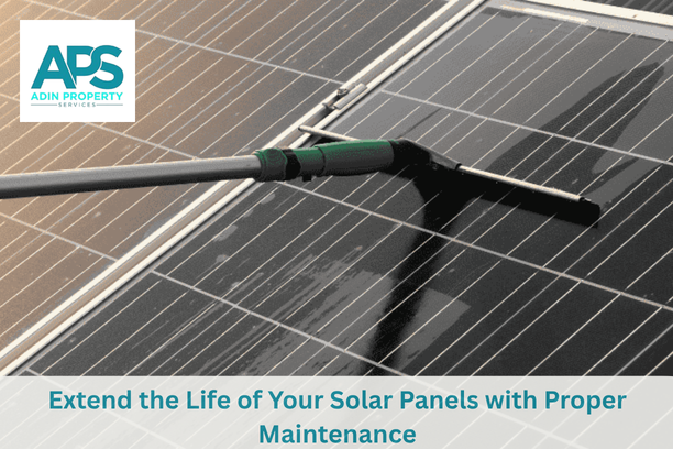 Solar Panel Cleaning