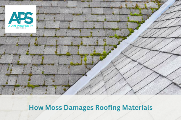 Roof Cleaning & Moss Removal