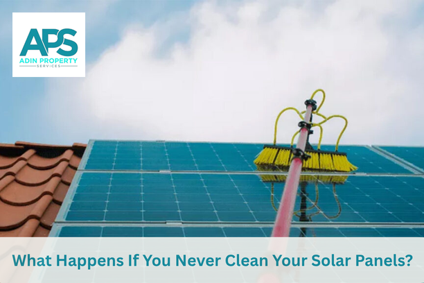 Solar Panels cleaning